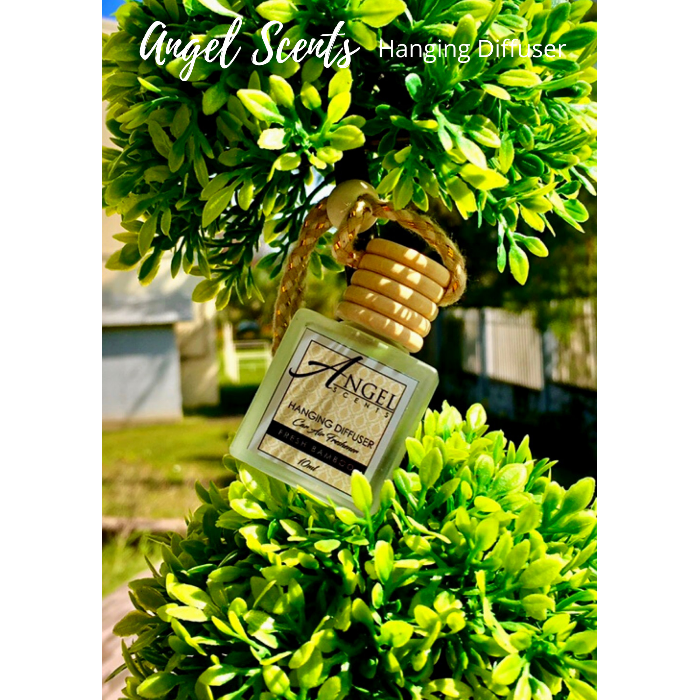 Hanging Diffuser Car Air Freshener