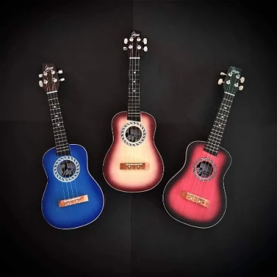 Ordinary Ukulele