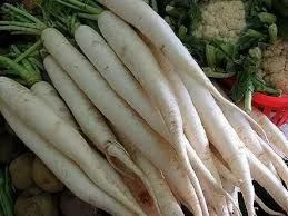 Labanos (Radish)