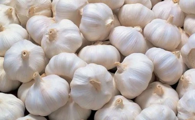 Bawang (Garlic)