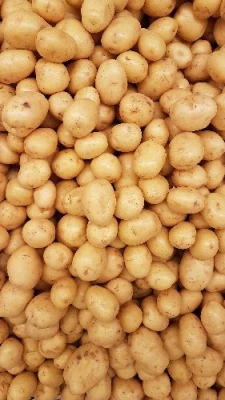 Patatas (Potato)