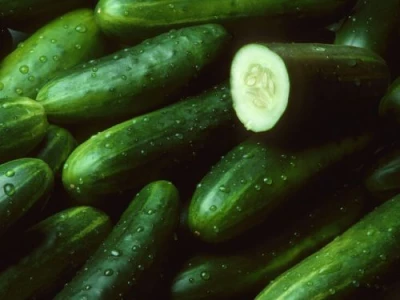 Pepino (Cucumbers)