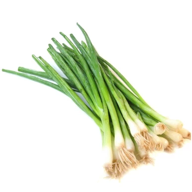 Green Onion Leaves (Scallion)