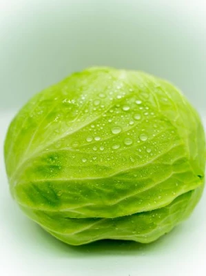 Repolyo (Cabbage)