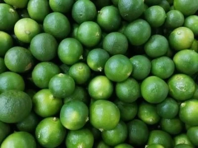 Kalamansi (Philippine Lime)
