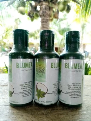 VCO FRESH BLUMEA MASSAGE OIL